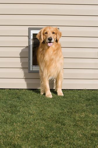 PetSafe Wall Entry Aluminum Pet Door Large