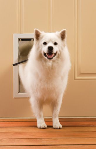 PetsSafe Freedom Aluminum Pet Door