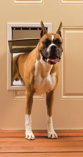 PetsSafe Freedom Aluminum Pet Door