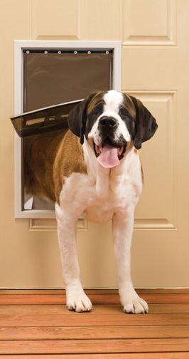 PetsSafe Freedom Aluminum Pet Door X-Large