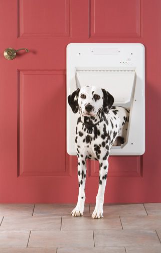 PetSafe Electronic Pet Door
