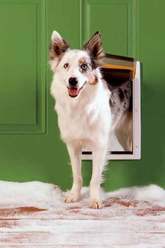 PetSafe Extreme Weather Pet Door Medium