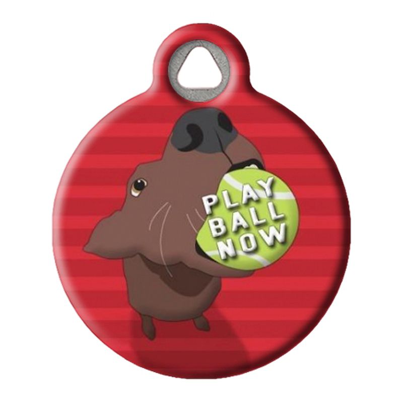 Play Ball Now Pet ID Tag