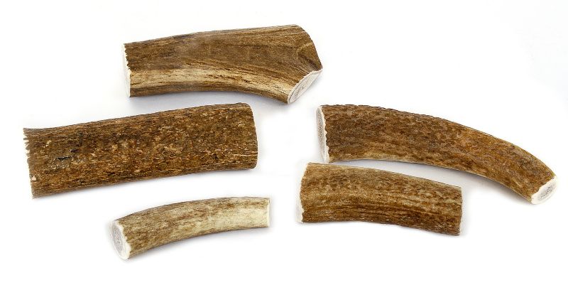 Happy Dog Whole Elk Antler Dog Treat
