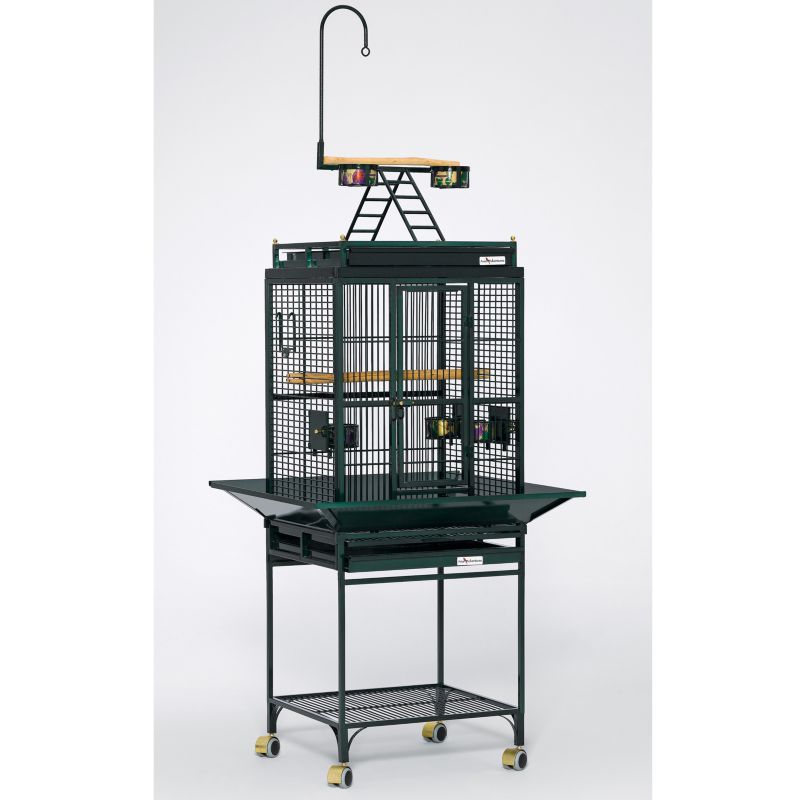 Avian Adventures Nina Playtop Bird Cage