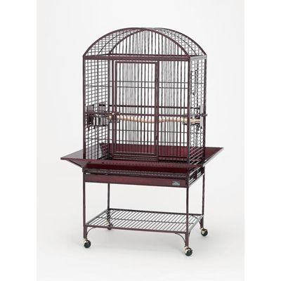Avian Adventures Chiquita Dometop Bird Cage
