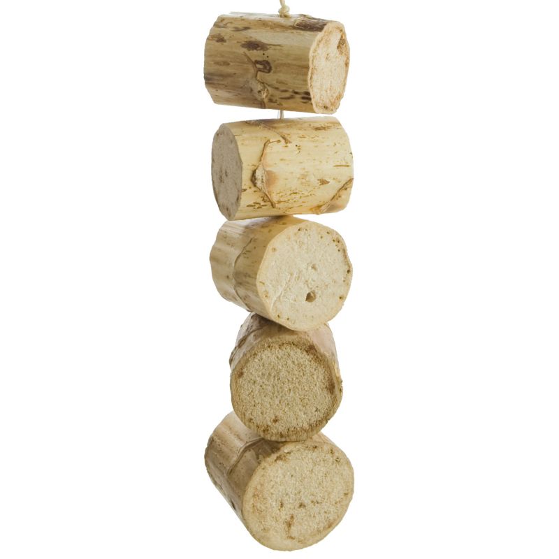 502223 - Fiesta Bird Kabob