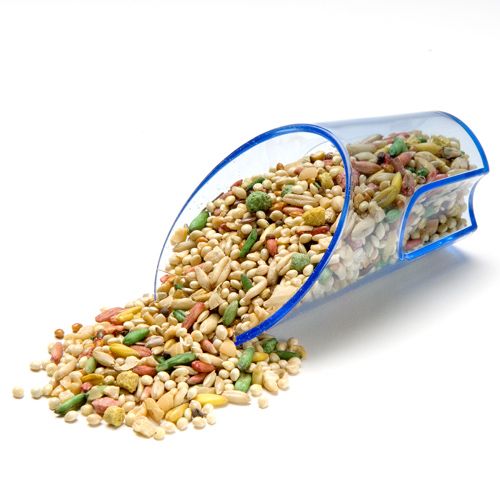 JW Pet Insight Seed Scoop for Canaries and Finches