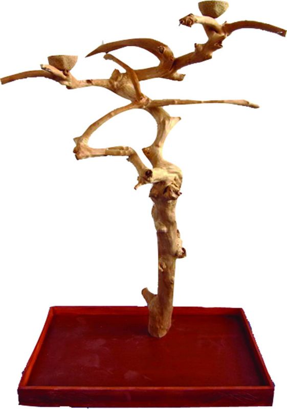 A and E Java Wood Bird Playstand Full Length Large