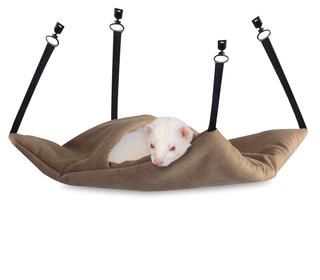 Lazy Ferret Sleeper Hammock