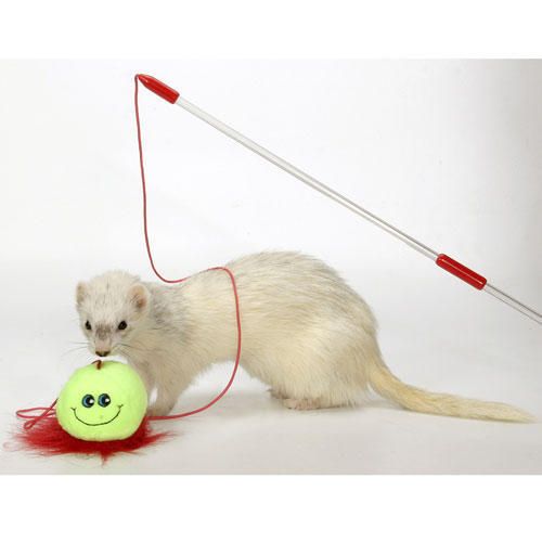 Marshall Ferret Interactive Teaser Toy