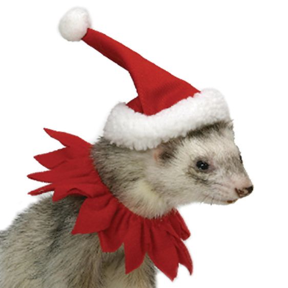 Marshall Ferret Santa Suit