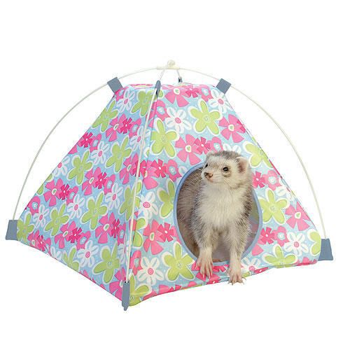 Marshall Connect-N-Play Ferret Tent
