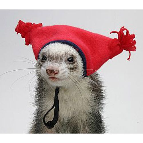 Marshall Ferret Tassel Hat