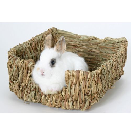 Peters Rabbit Grass Bed