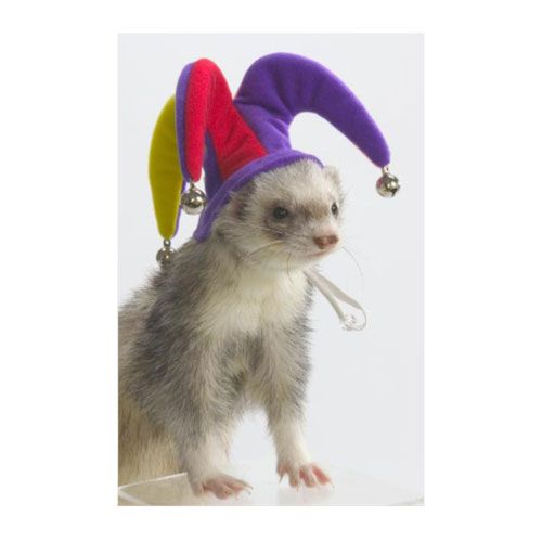 Marshall Ferret Jester Hat