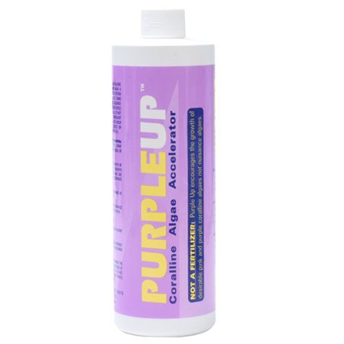 Carib Sea Purple Up Coralline Algae Acel 16oz