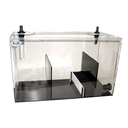 Adhi Berlin Sump