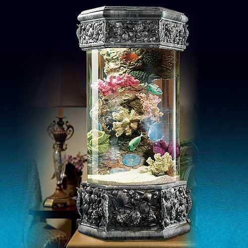 Ocean Treasures Aquarium Walk On The Beach