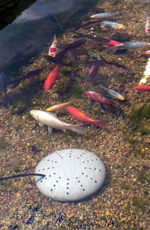 Perfect Climate Submersible Pond De Icer