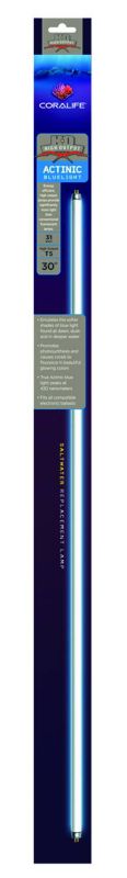 Coralife T5HO Actinic Aquarium Lamp