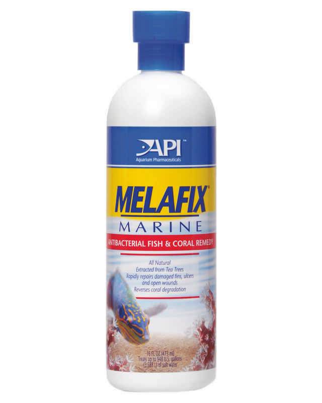 API Melafix Marine Antibacterial Remedy 16 oz