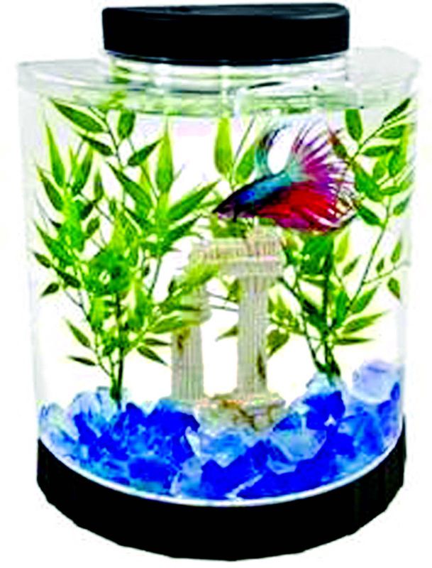 Tetra Half Moon Betta Aquarium Kit