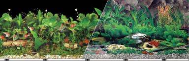 Blue Ribbon Tropical Aquarium Background