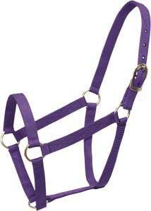 Pro-Craft Economy Nylon Halter