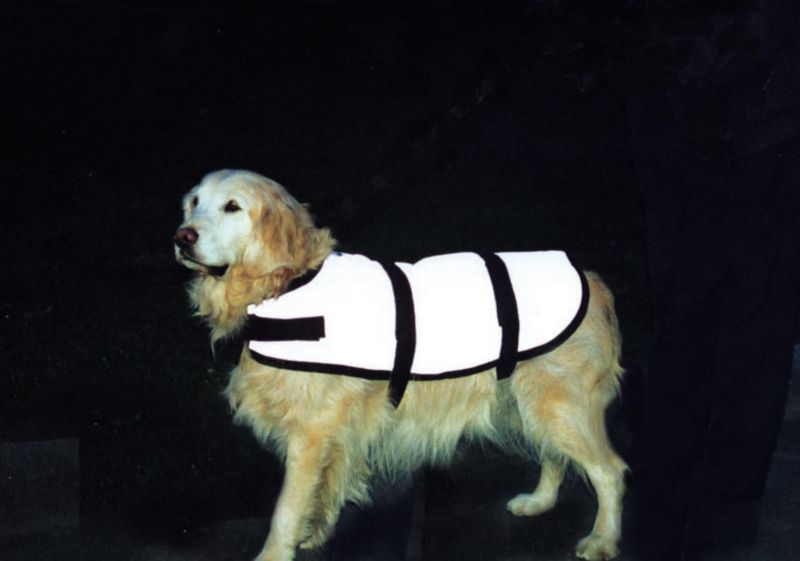 Illuminate Glowdog Reflective Jacket