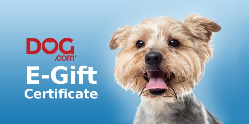 Dog.com Gift Certificates $10 Gift Certificate