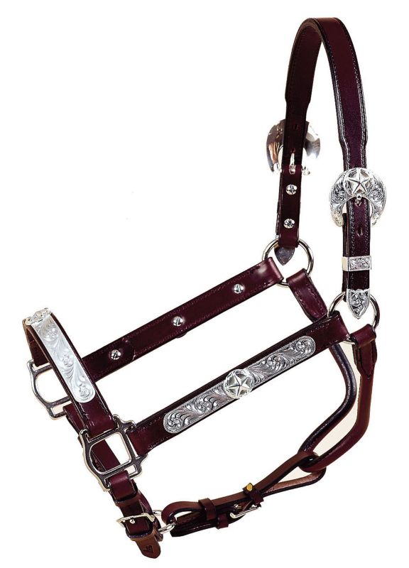 Tory Galveston Star Show Halter w/Lead