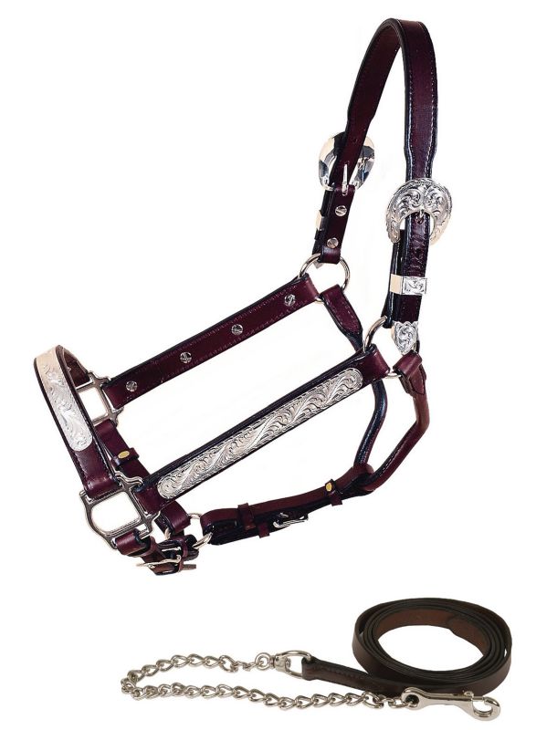 Tory Deluxe Oklahoma Show Halter w/Lead