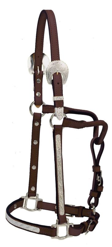 Tory Oklahoma Show Halter w/Lead ¾ in