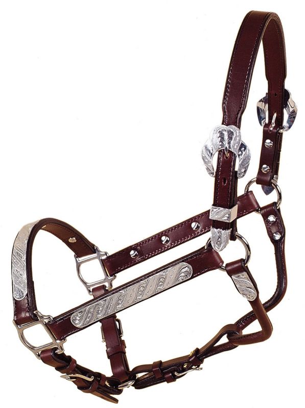 Tory Fila Style Show Halter w/Lead