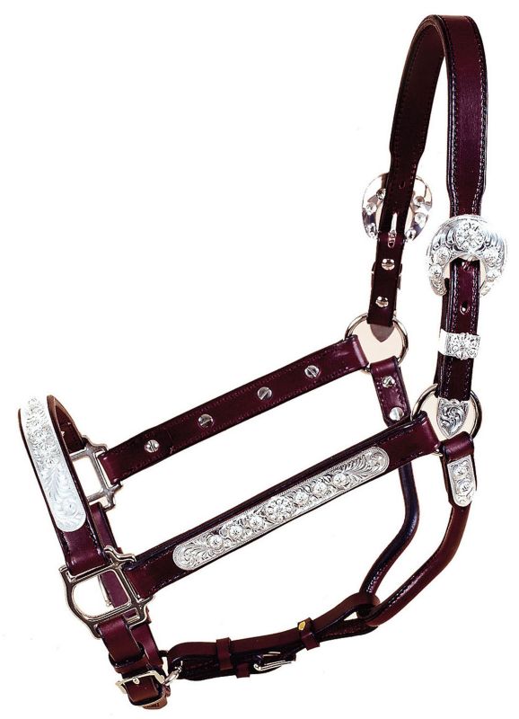 Tory San Diego Show Halter w/Lead