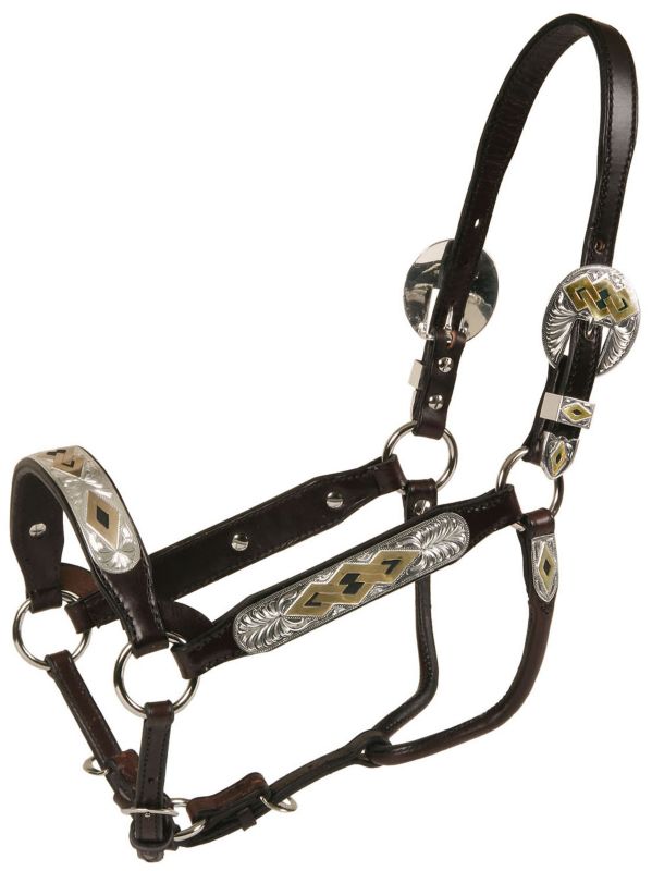 Tory Casa Granda Congress Show Halter w/Lead