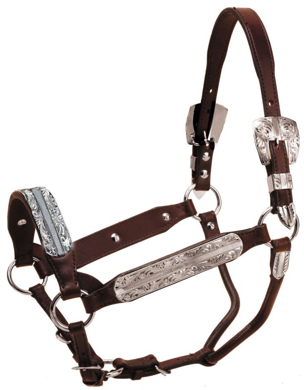 Tory Morristown Show Halter w/Lead