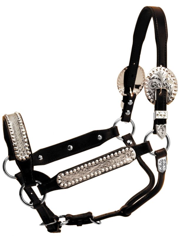 Tory Buffalo Show Halter w/Lead