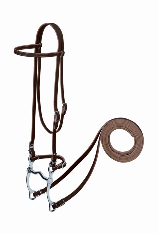 Weaver Harness Leather Headstall Set w/Bit Horse T