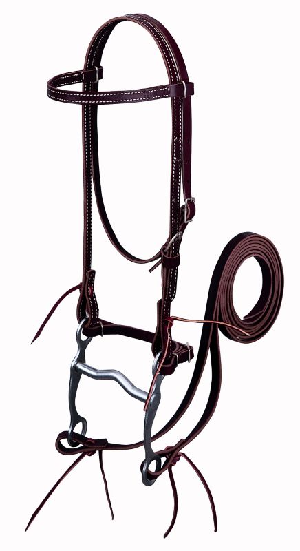 Weaver Latigo Leather Headstall Set w/Bit