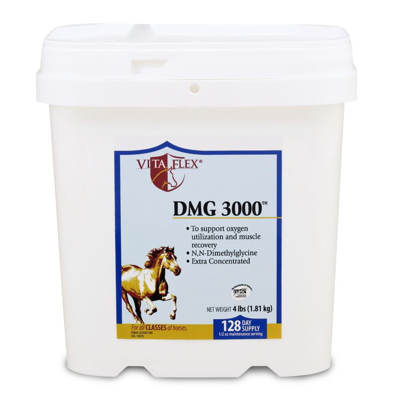 DMG 3000