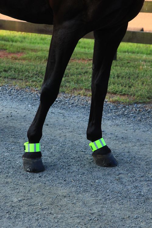 Roma Reflective Bands