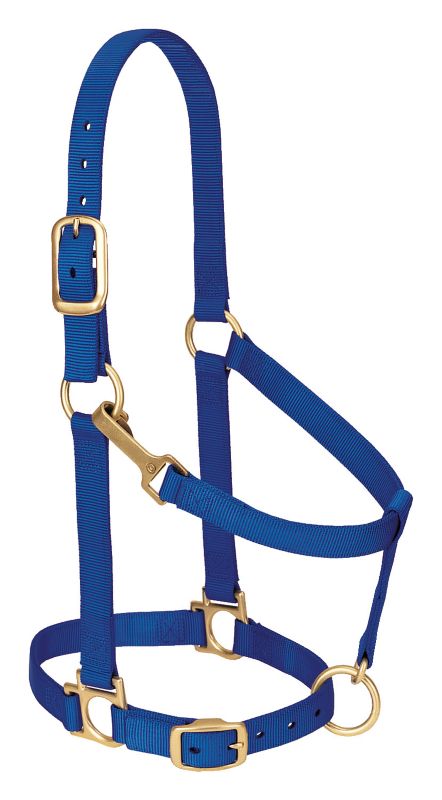 Weaver Basic Adj Halter w/Snap Small Hunter