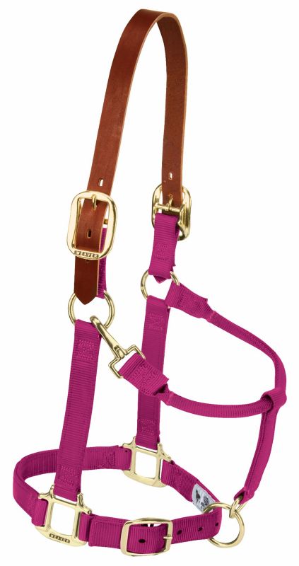 Weaver Original Breakaway Adj Halter w/Snap Large