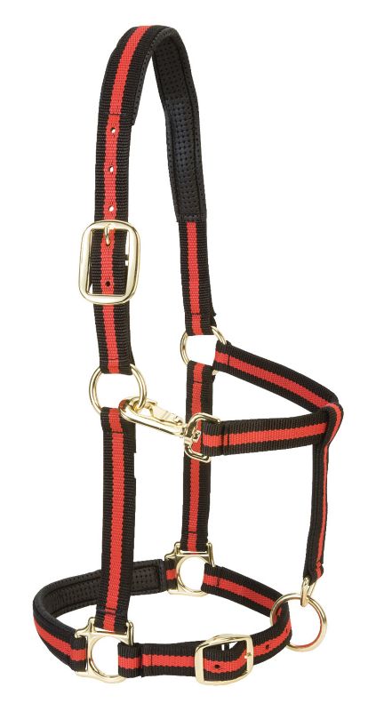 Weaver Padded Adj Nylon Halter w/Snap SML Red