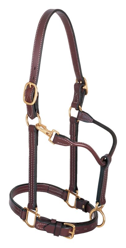 Weaver Double Buckle Leather Halter