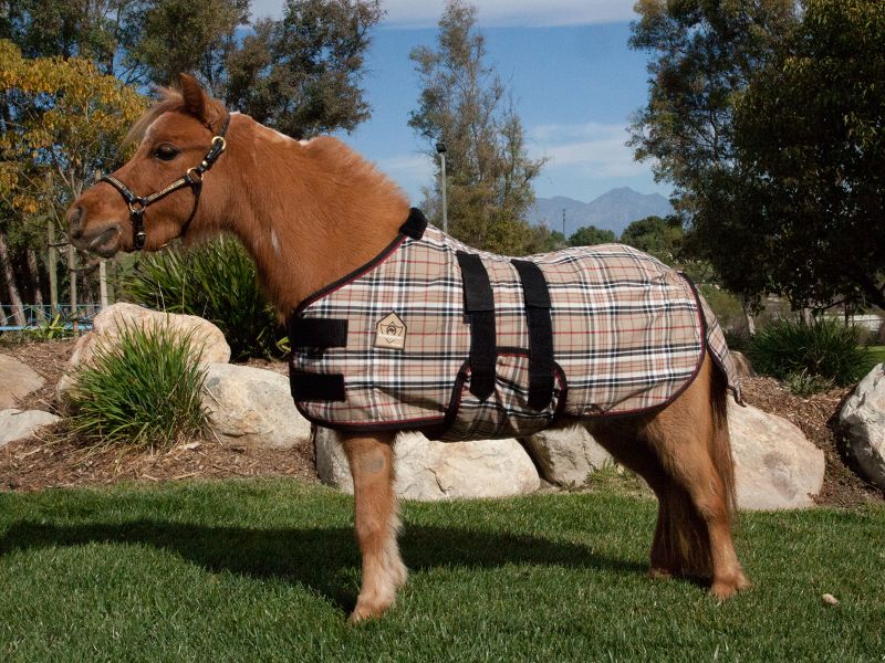 Kensington Mini Poly Stable Sheet