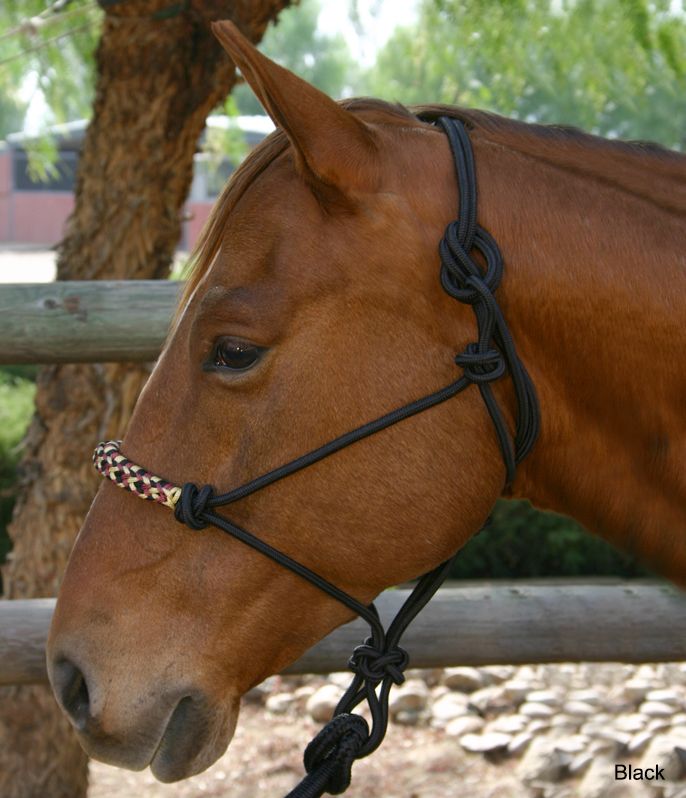 Kensington Rope Training Halter w/Lead
