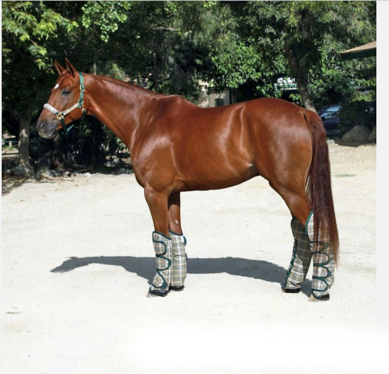 Kensington Shipping Boots